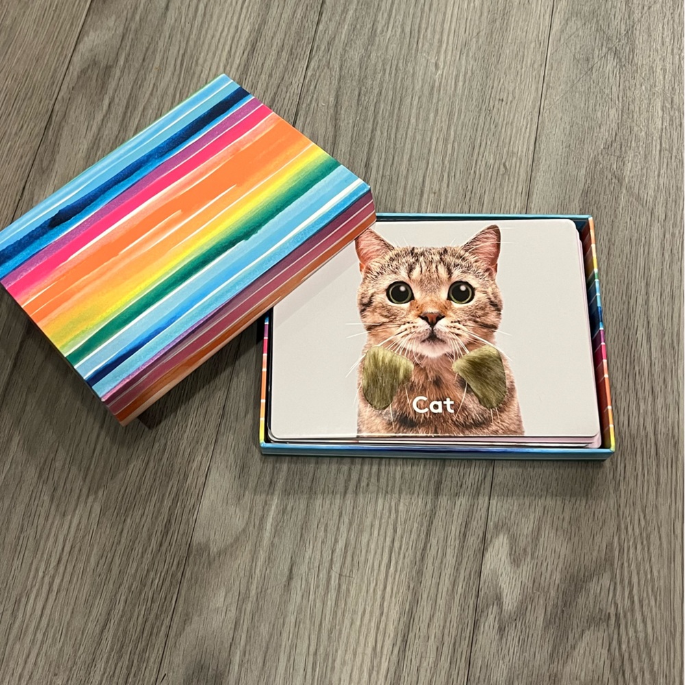 Lovevery Inspector Kit Flashcards